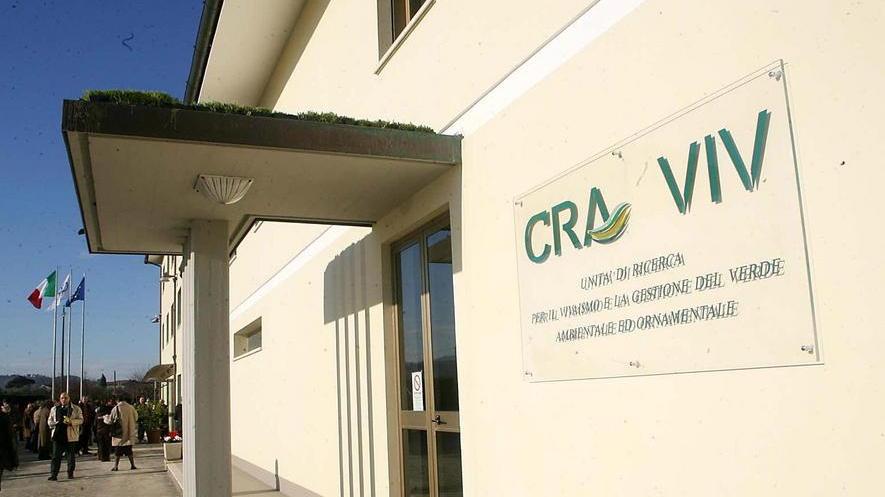 Soluzione verde contro l’aria inquinata