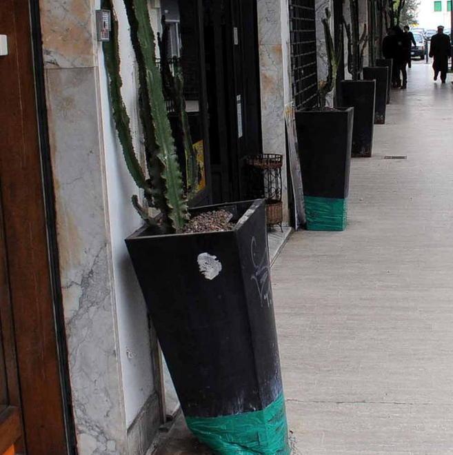 Vandali in azione in via Marina Vecchia Spaccati i vasi delle piante grasse