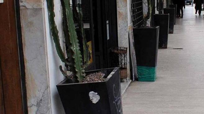 Vandali in azione in via Marina Vecchia Spaccati i vasi delle piante grasse