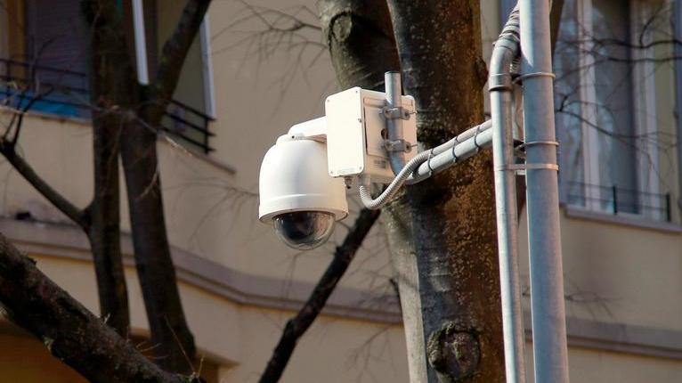 «Spaventapasseri o telecamera?»