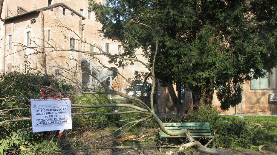 Verde, serve un milione per sistemare viali e parchi