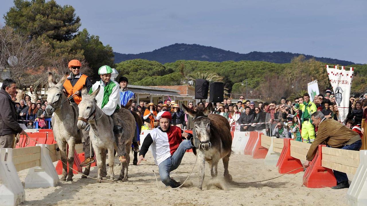 Il Palio dei Somari (foto di Giò Di Stefano)