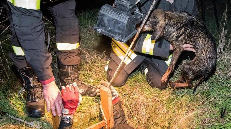 Salvata dopo la caduta in un pozzo di 10 metri