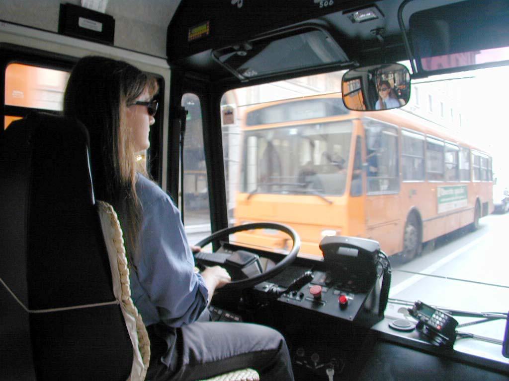 L'autista al lavoro 