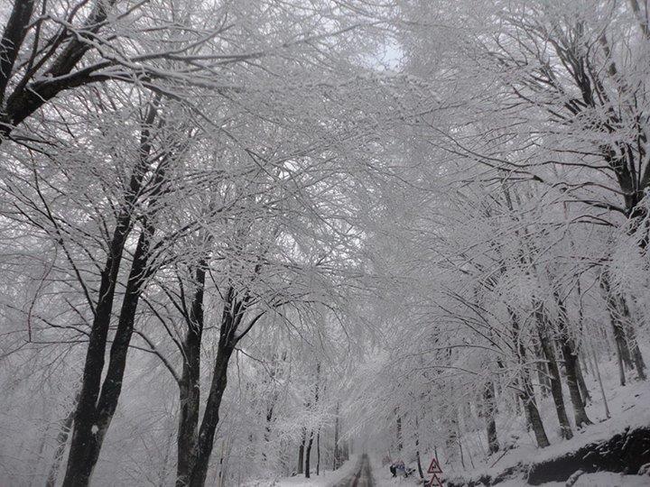 Gli effetti spettacolari di una recente nevicata sull'Amiata
