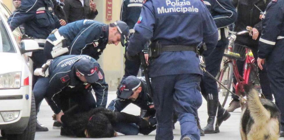 Via Tintori bussa in Comune «Raddoppieranno i controlli» 