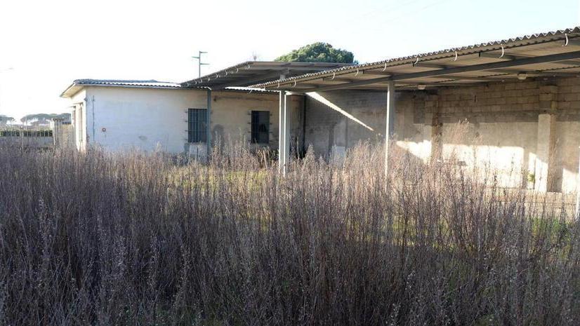 Il latitante si nascondeva nell’ex Zetagas