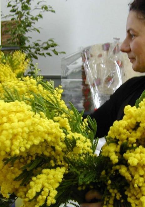 Festa dell’8 marzo “di rete in rete” Un aiuto al femminile 