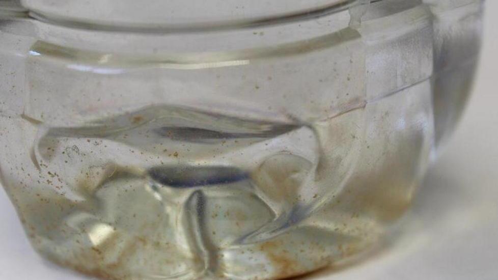Acqua torbida, bisognerà attendere
