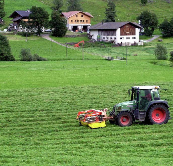 Successo degli incontri su piante e cultura agricola