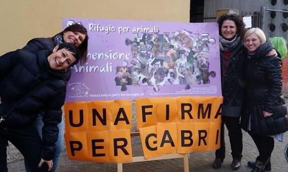 In 400 firmano per Gabriella «Dissequestrate il canile»