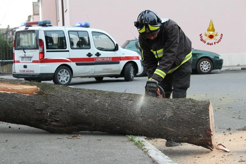 Un vigile del fuoco all'opera in zona via Lago di Varano a Grosseto (foto Vigili del fuoco)