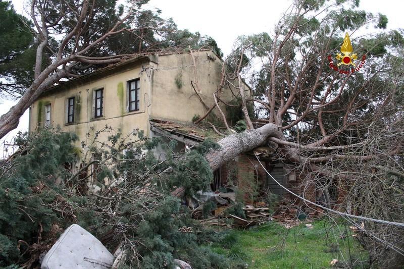 Pino crollato su una casa in località Fontebianca (foto dei vigili del fuoco)