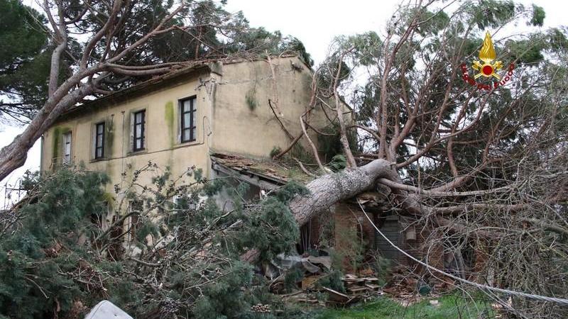 Pino crollato su una casa in località Fontebianca (foto dei vigili del fuoco)