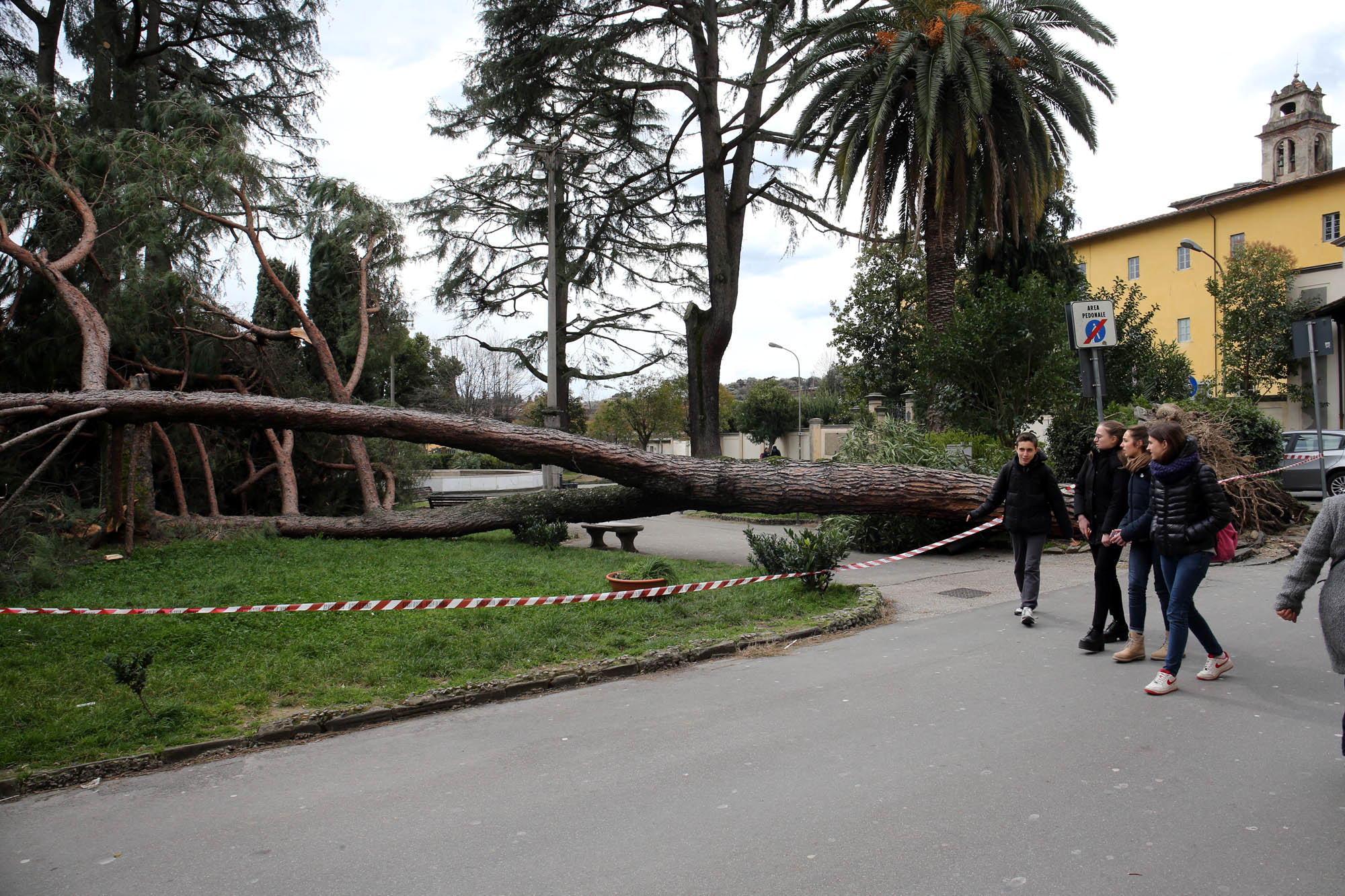 Piazza Matteotti a Pescia interdetta ai pedoni (Foto Nucci)