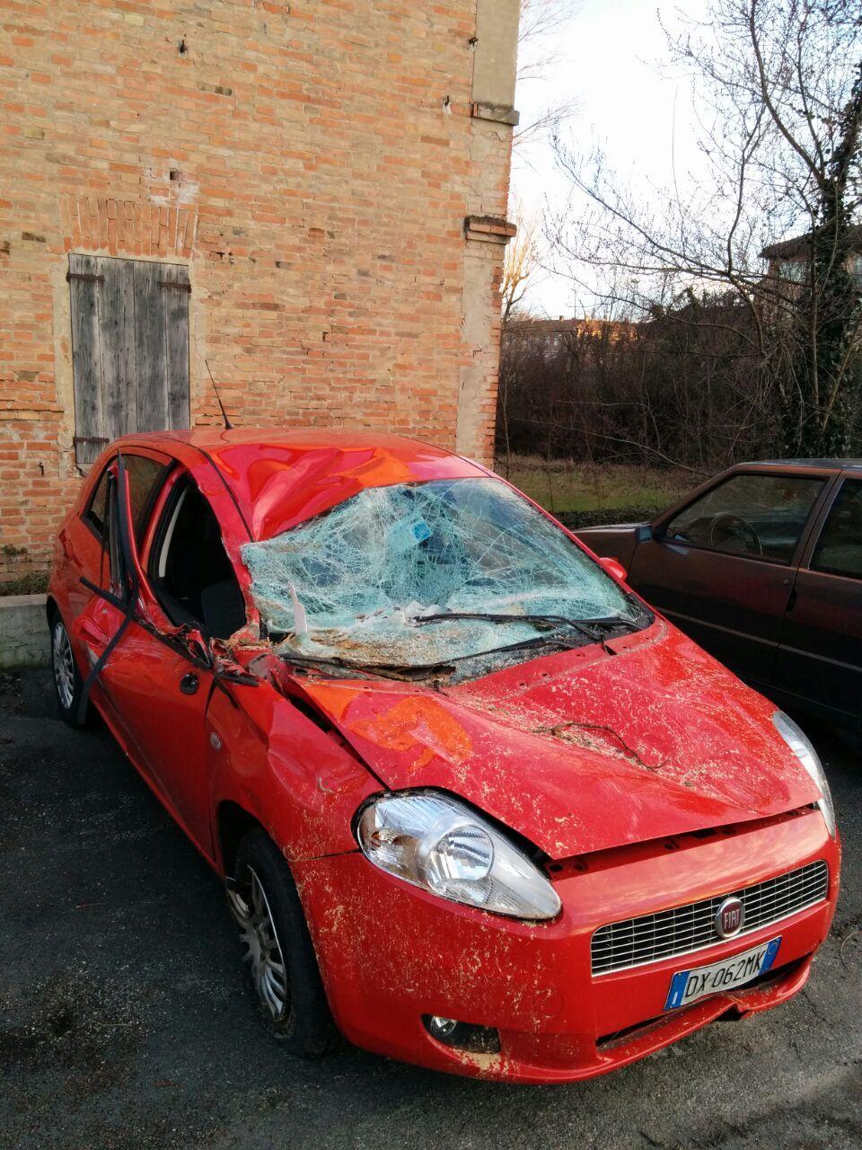 Vento forte: albero cade su un'auto, illeso l'autista