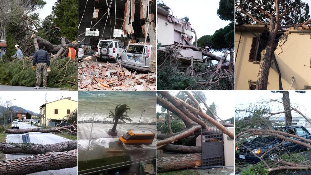 Morte e devastazione: 10 storie simbolo della tempesta di vento che ha messo in ginocchio la Toscana