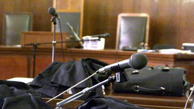 Bimbo morso da un cane tutti sono responsabili