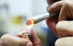 L’hascisc è diventata la droga numero uno 