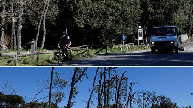 Il prima e dopo tempesta in uno dei viali che costeggia il parco della Versiliana a Marina di Pietrasanta