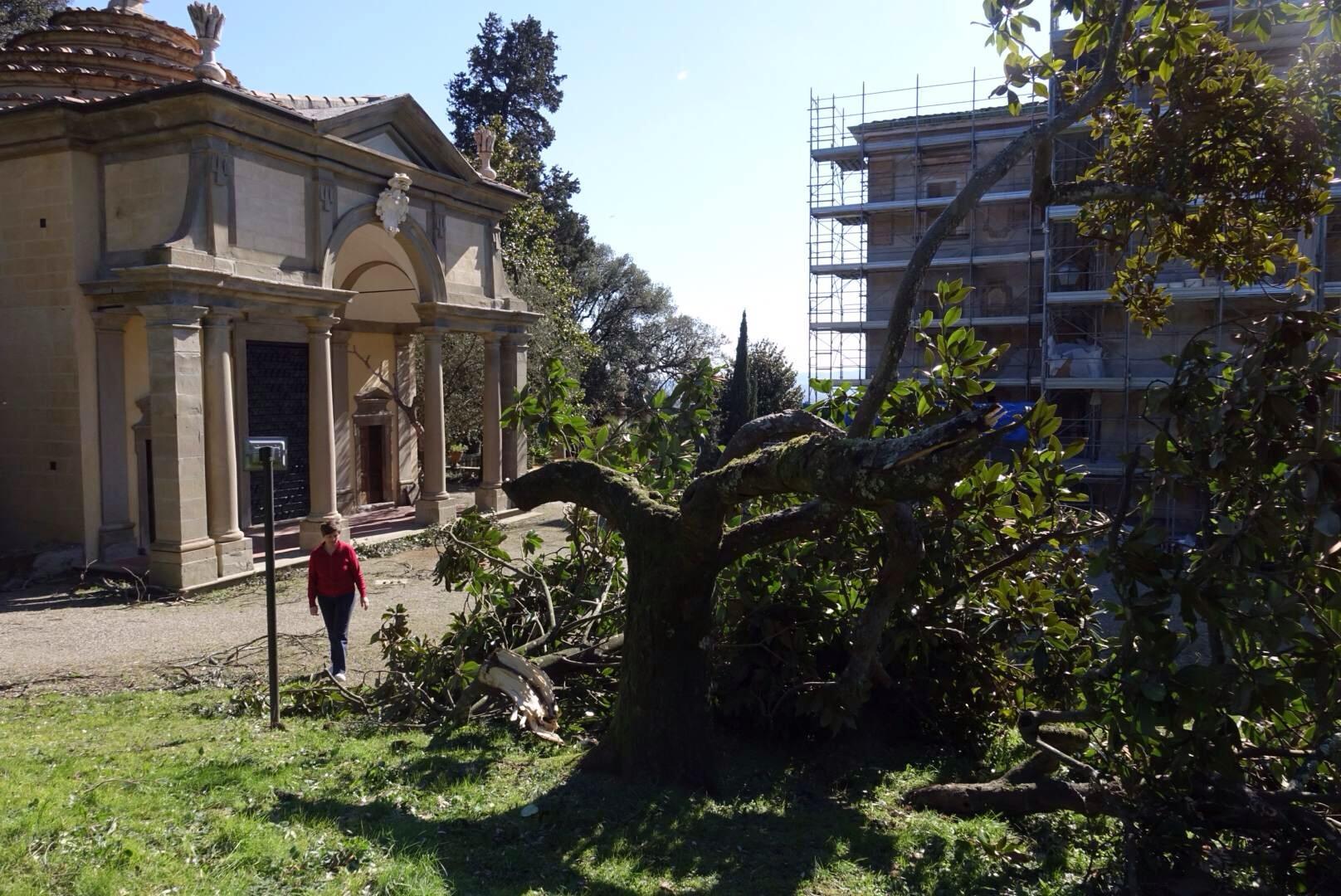 Alcuhi alberi abbattuti davanti ala villa di Celle