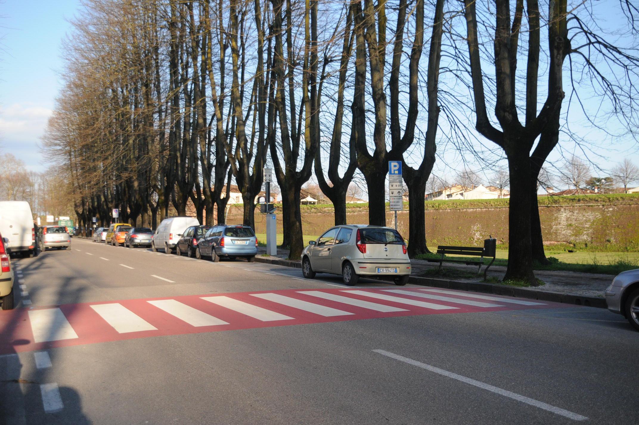 Grave una donna investita sulle strisce pedonali vicino all'Esselunga in via Carlo del Prete