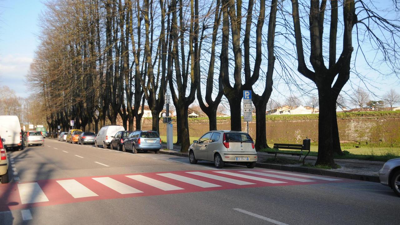Grave una donna investita sulle strisce pedonali vicino all'Esselunga in via Carlo del Prete