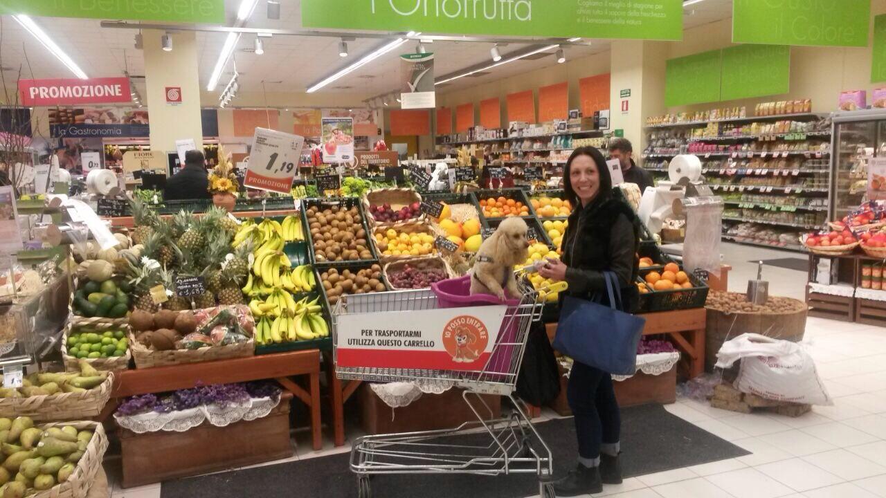 Una signora mentre fa la spesa con i proprio cane