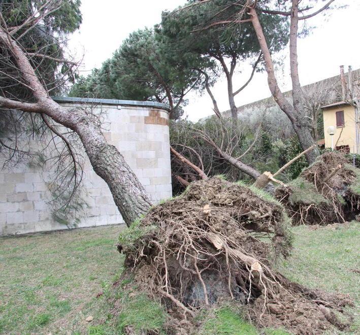 Dagomari scoperchiato Datini senza palestra 