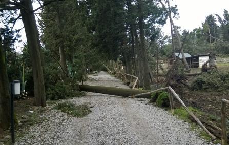 Animali in fuga a Galceti, centro chiuso 