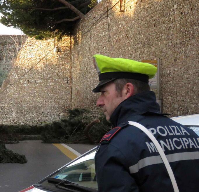 Tutti i video e le fotogallerie sul tirreno.it