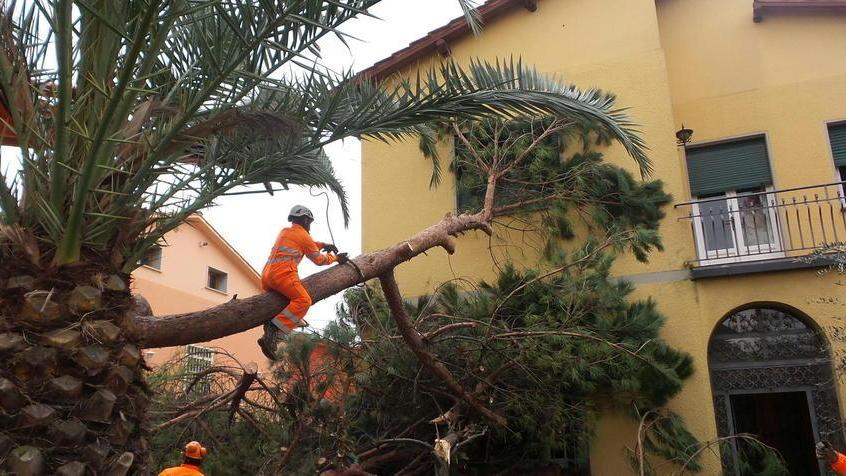 Montecatini chiederà i risarcimenti, chiusa la Pineta