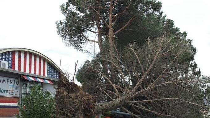 Montemurlo in tilt, danni ai centri sportivi