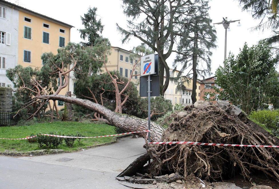 Pescia, restano chiuse tutte le scuole Paesi senza luce 
