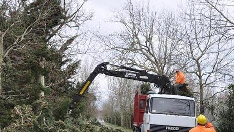 Marina, la zona più colpita giù anche i cipressi a Bolgheri