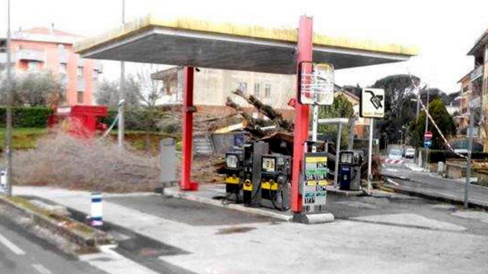 Invasione di campo a Manciano, mentre a Pitigliano un albero finisce sul distributore