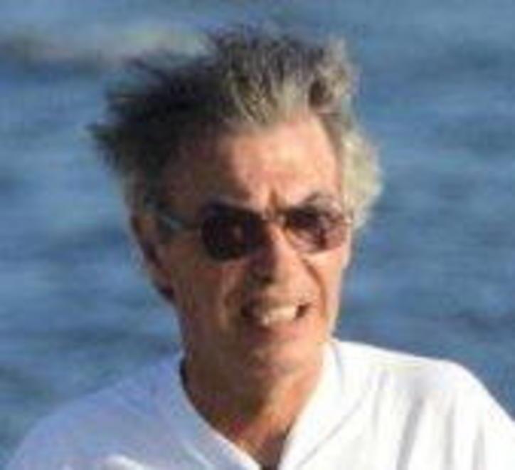 Distrutta la pineta della famiglia Moratti «Pazzesco, ma ora vogliamo ricostruire»