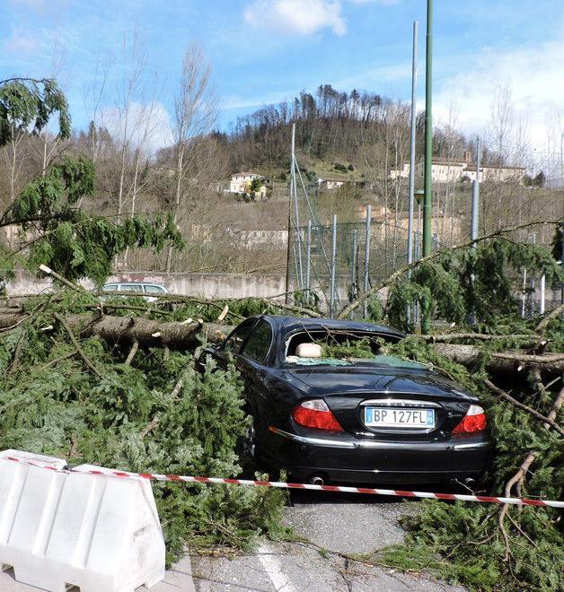 Giù il pino del Dronero devastato il tennis club 