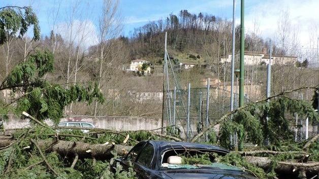Giù il pino del Dronero devastato il tennis club