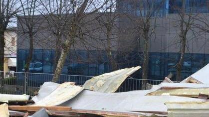 Devastati i parchi delle ville storiche