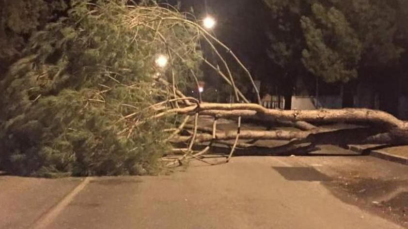 Tralicci Enel divelti causano black out nella Val di Magra