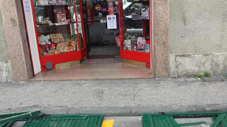 Crolla un pino: paura all’asilo In 500 al buio per il black out