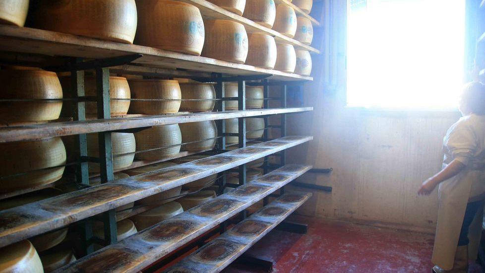 Spariscono trenta forme di Parmigiano Reggiano