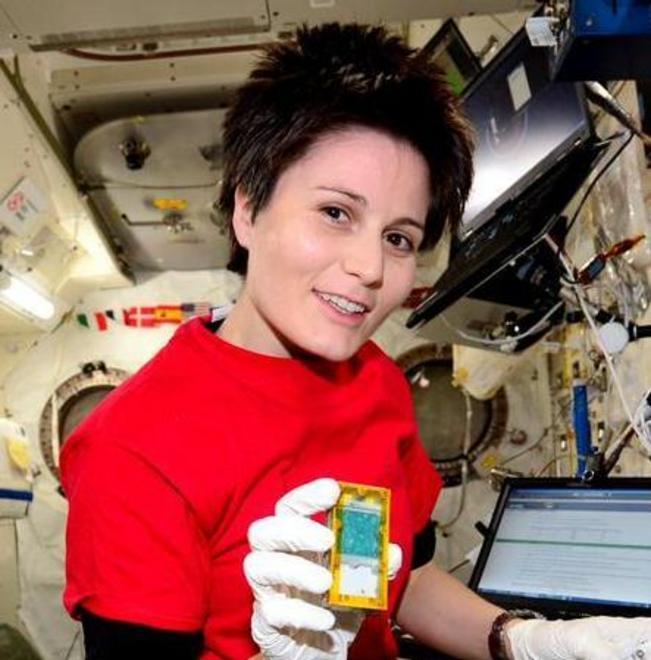 «Tutto bene per il progetto Drain Brain» 