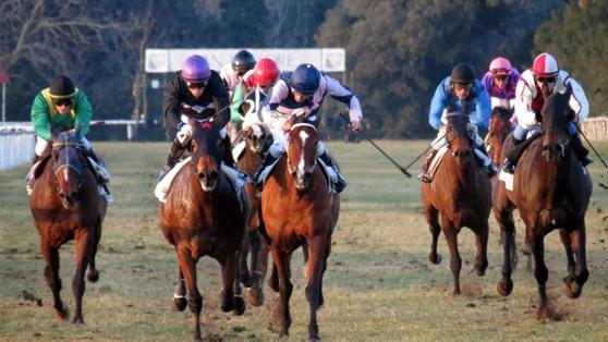 Un arrivo a San Rossore