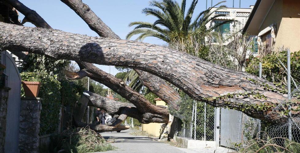 Pietrasanta: isolati dal mondo senza cibo e farmaci 