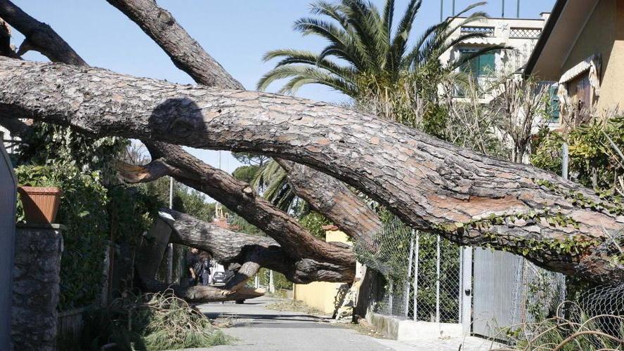 Pietrasanta: isolati dal mondo senza cibo e farmaci
