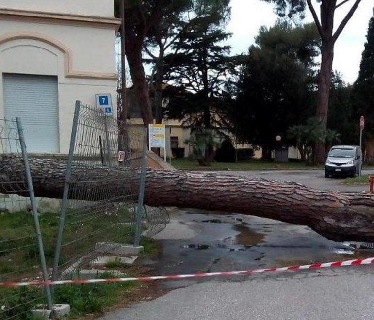 Scuole ko, si lavora per tornare alla normalità 