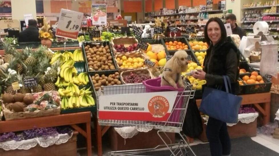 Al supermercato Fido finisce nel carrello