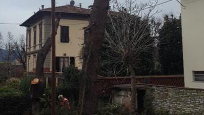 La potatura di tanti alberi a rischio ha scongiurato il disastro